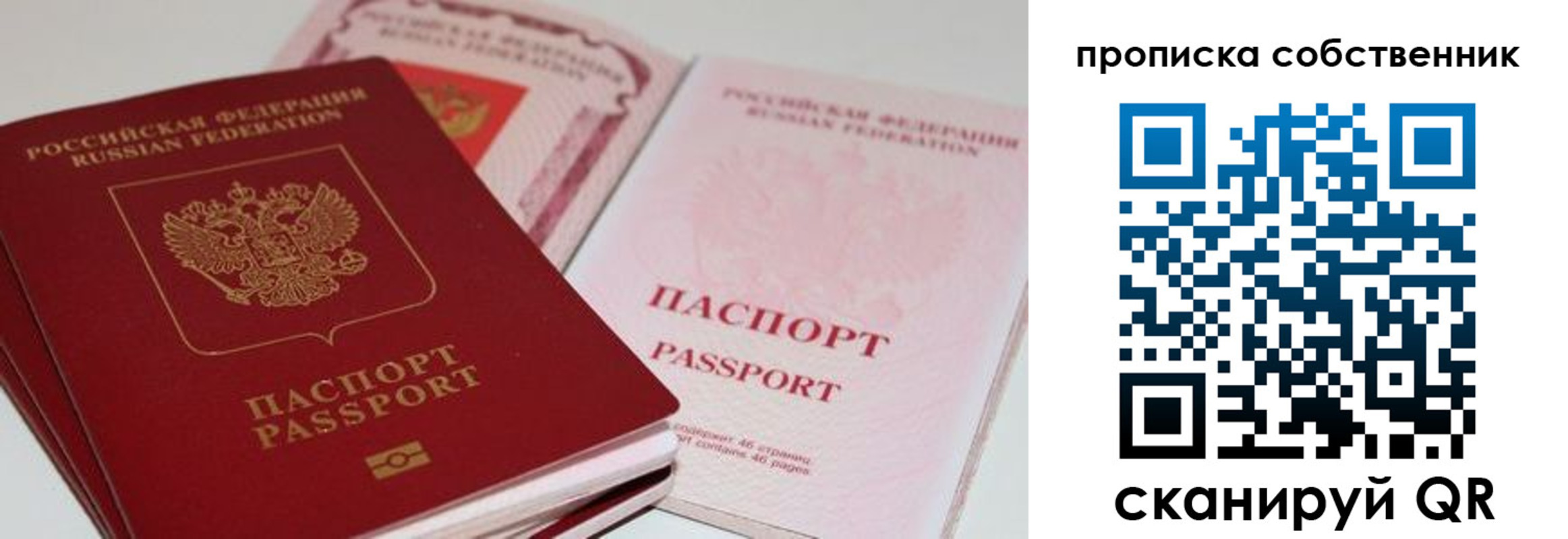 миграционный учет в Светлогорске