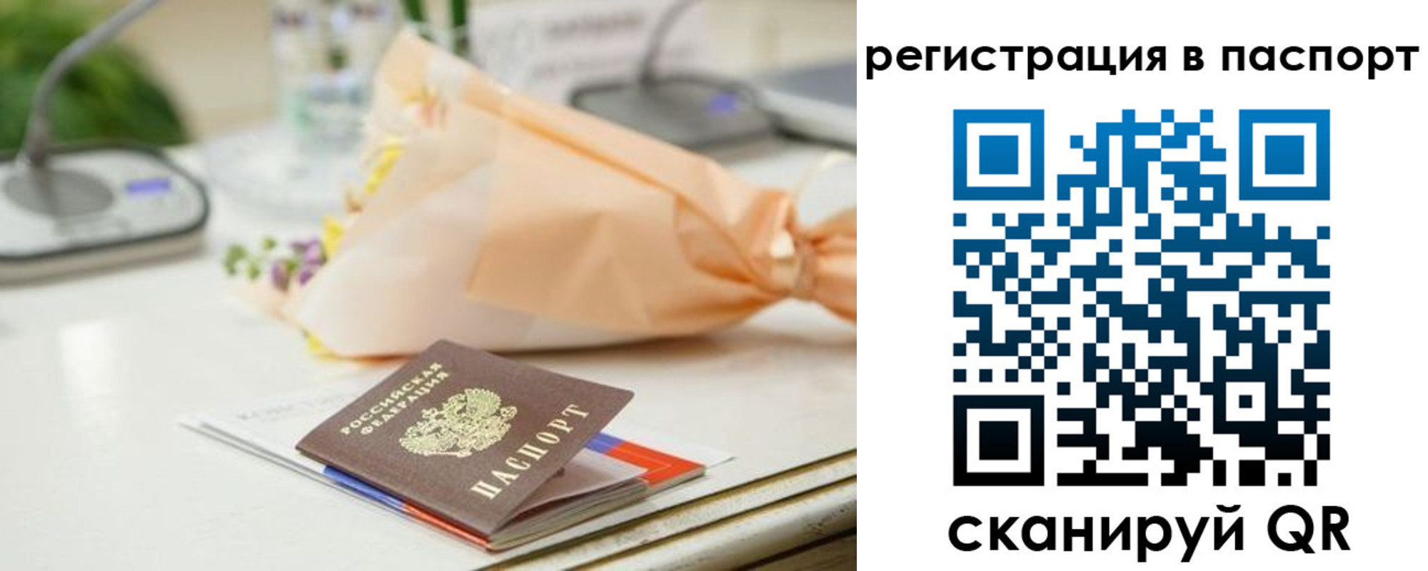прописка в квартире в Светлогорске